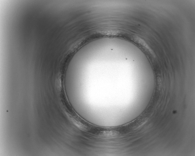 X0000070880541200606302140