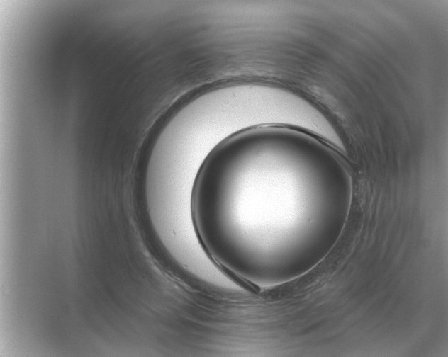 X0000070880544200606302140