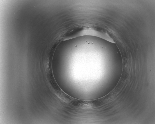 X0000070880548200606302140