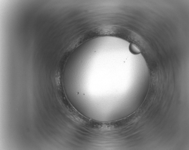 X0000070880549200606302140