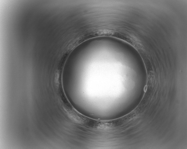 X0000070880550200606302140