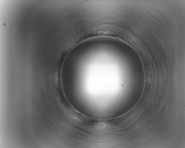 X0000070880551200606302140