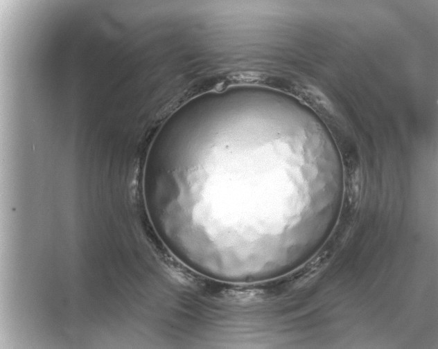 X0000070880553200606302140