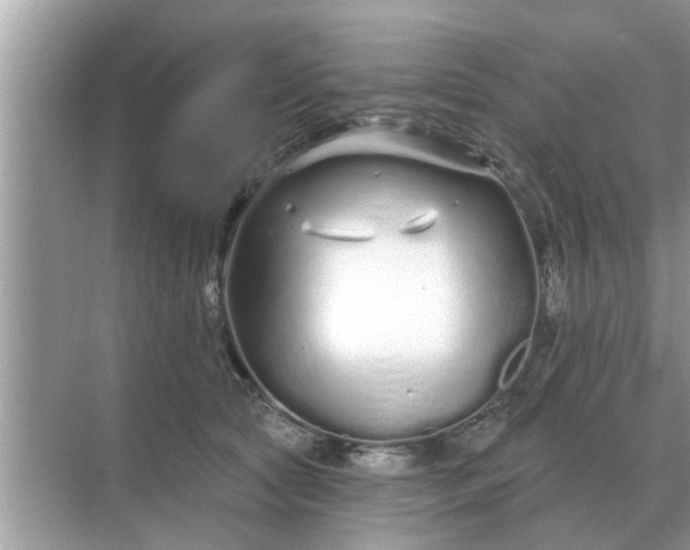 X0000070880561200606302140