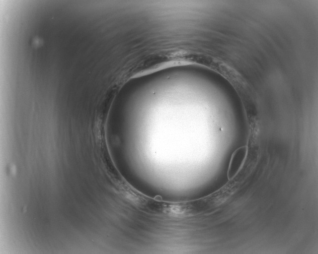 X0000070880565200606302140