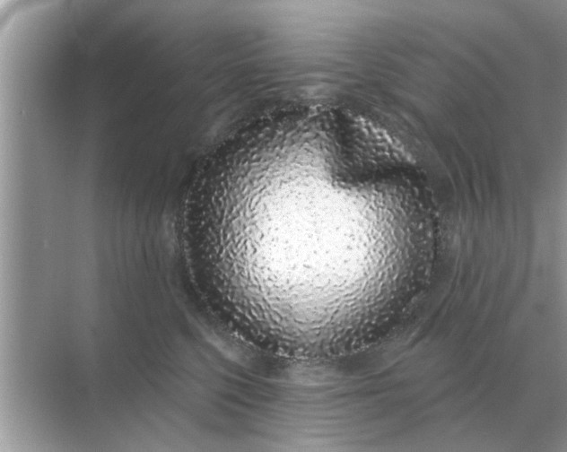 X0000070880568200606302140