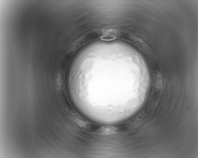 X0000070880569200606302140