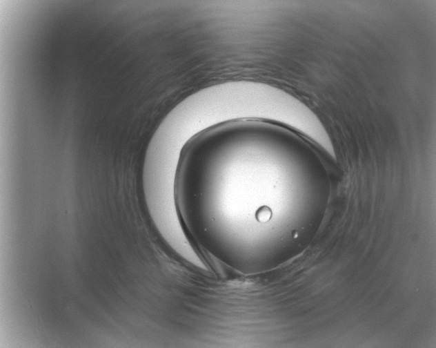 X0000070880570200606302140