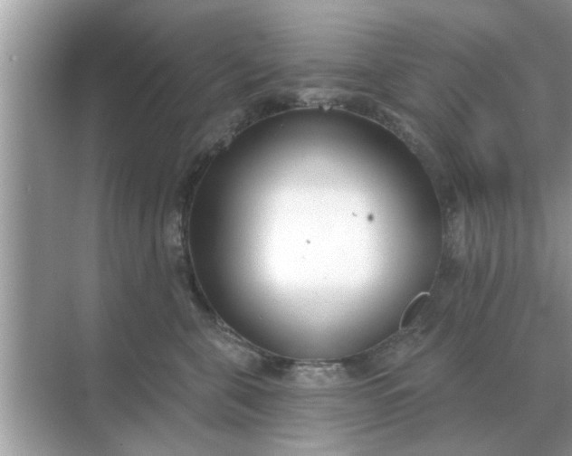 X0000070880571200606302140