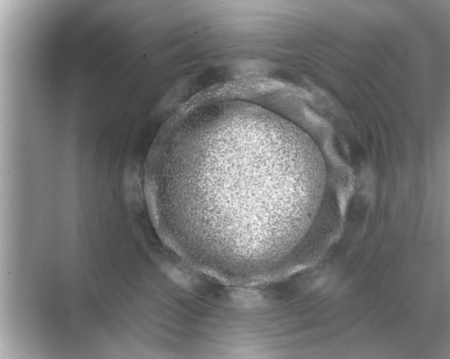 X0000070880572200606302140