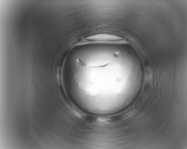 X0000070880573200606302140