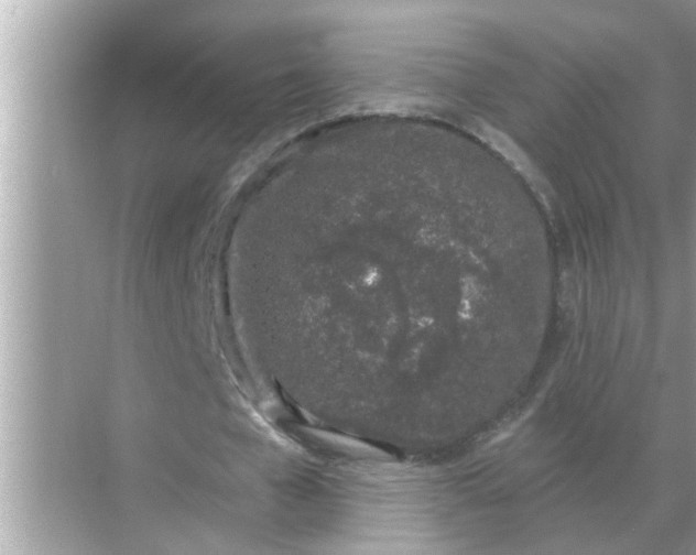 X0000070880577200606302140