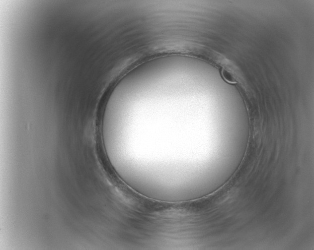 X0000070880578200606302140