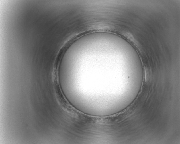 X0000070880579200606302140