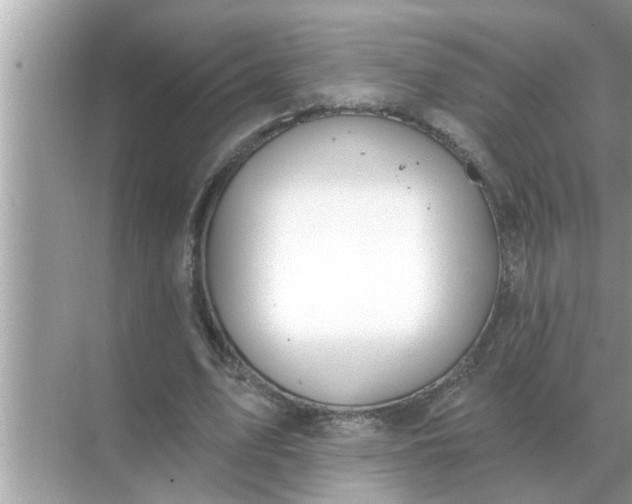 X0000070880583200606302140