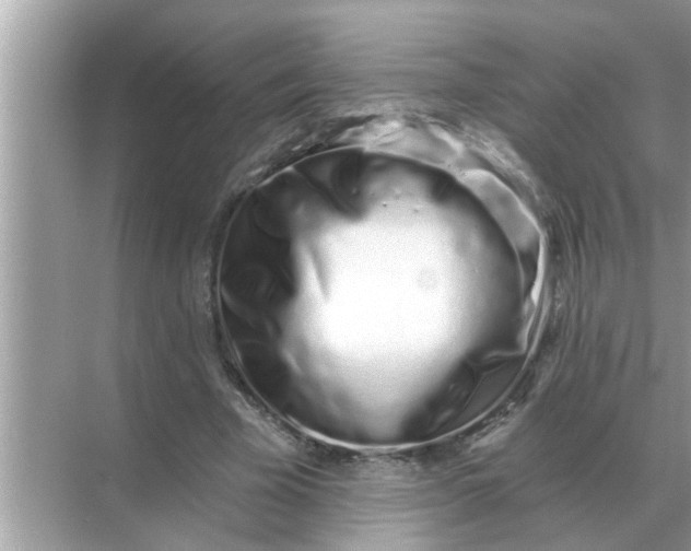 X0000070880585200606302140