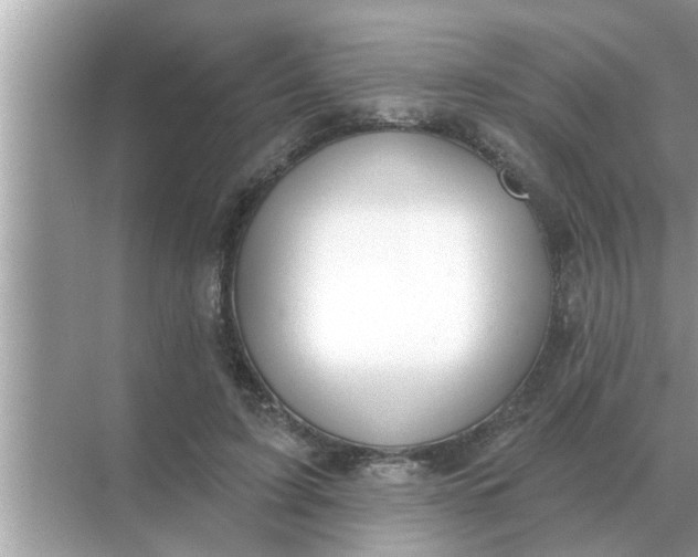 X0000070880595200606302139