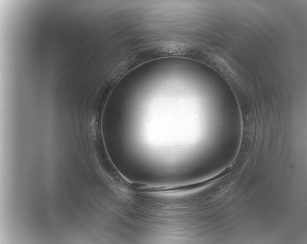 X0000070880597200606302139