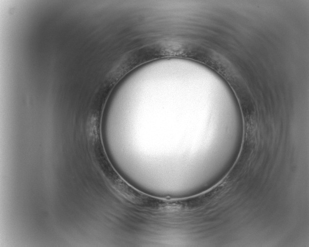 X0000070880598200606302139