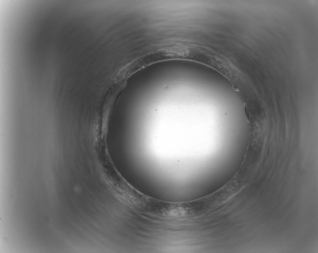 X0000070880600200606302139