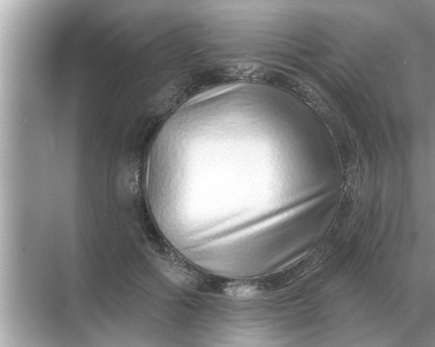 X0000070880602200606302139