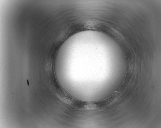 X0000070880603200606302139