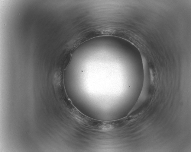 X0000070880604200606302139