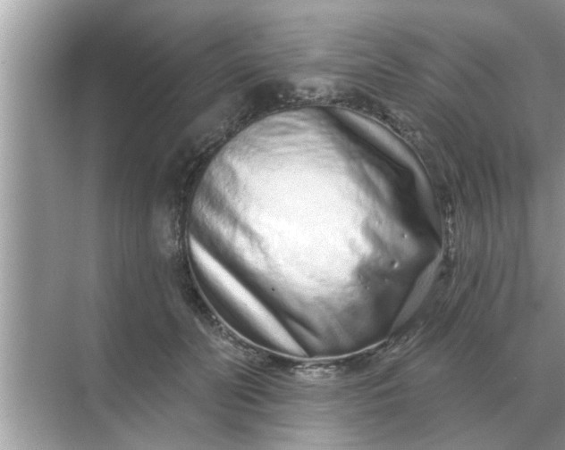 X0000070880606200606302139