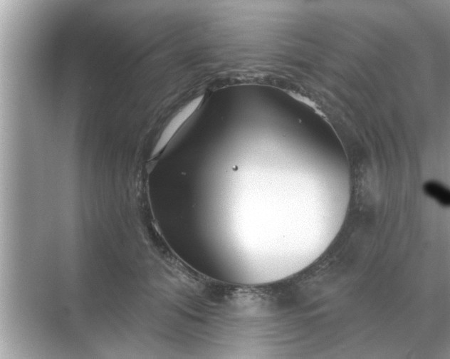 X0000070880608200606302139