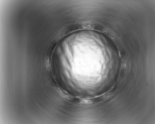 X0000070880610200606302139