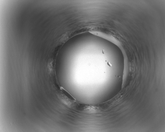 X0000070880611200606302139