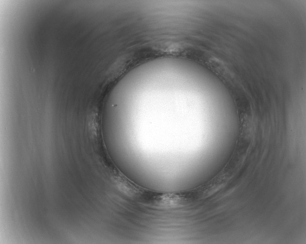 X0000070880612200606302139