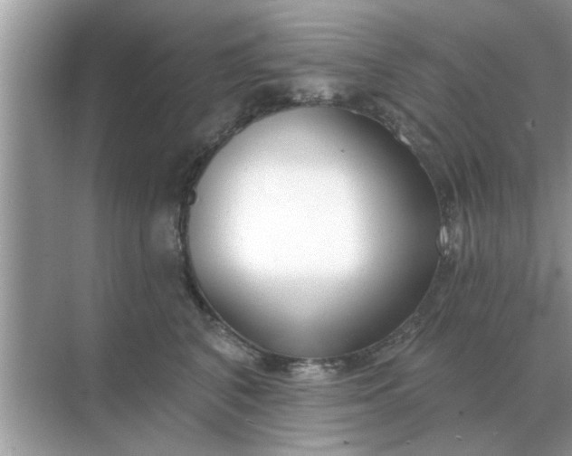 X0000070880616200606302139