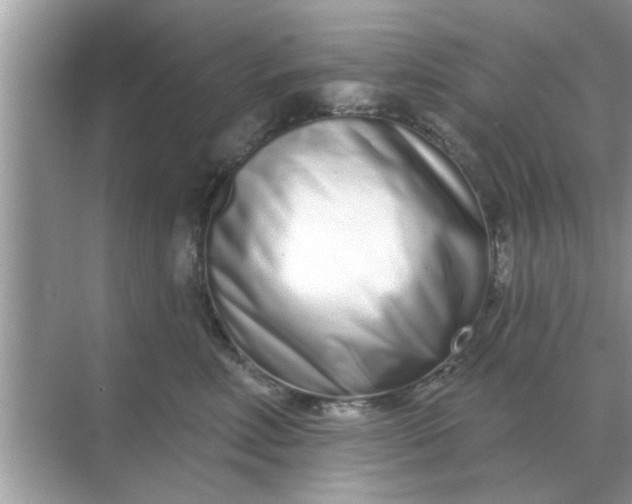 X0000070880618200606302139