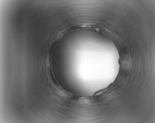 X0000070880620200606302139