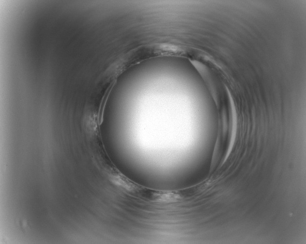 X0000070880621200606302139