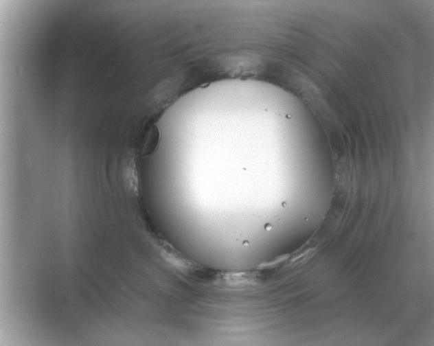 X0000070880622200606302139