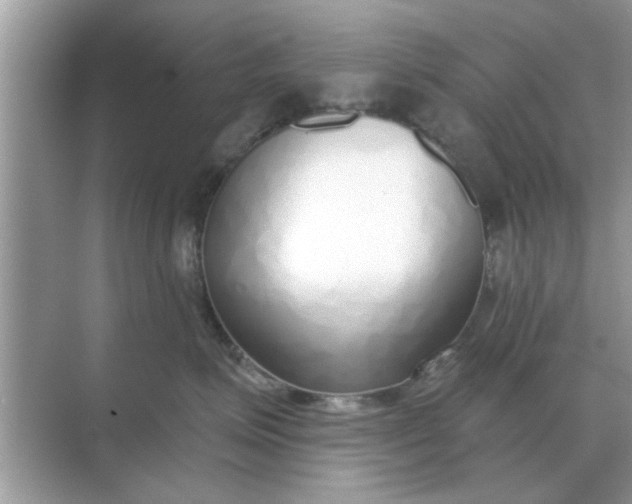 X0000070880623200606302139