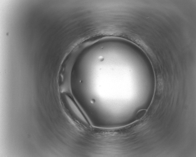 X0000070880626200606302138