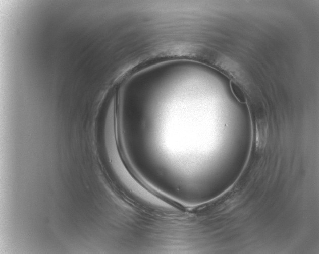 X0000070880627200606302138