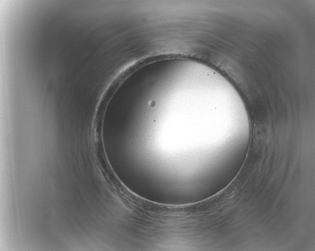 X0000070880628200606302138