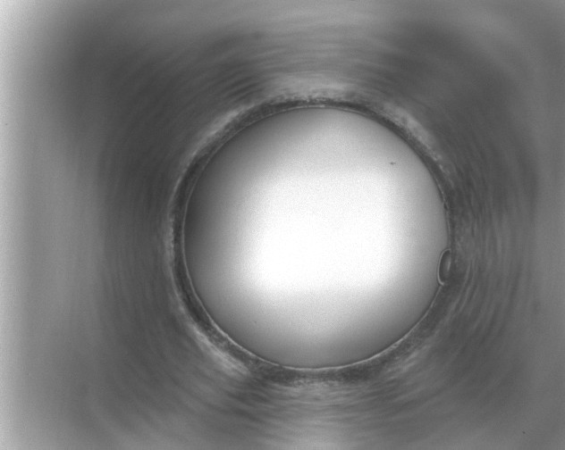 X0000070880629200606302138