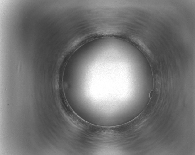 X0000070880631200606302138