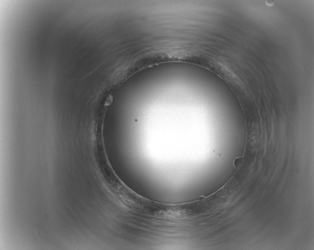 X0000070880639200606302138