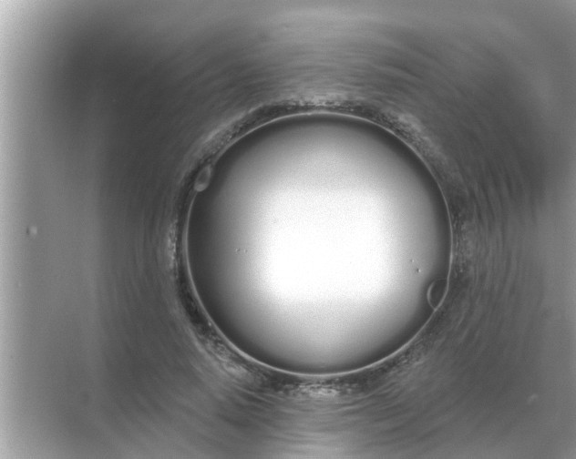 X0000070880640200606302138