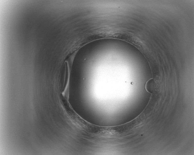 X0000070880642200606302138