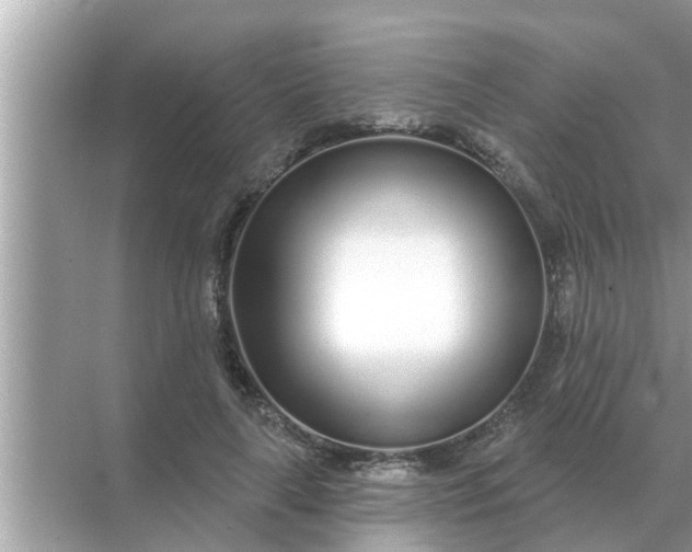 X0000070880643200606302138