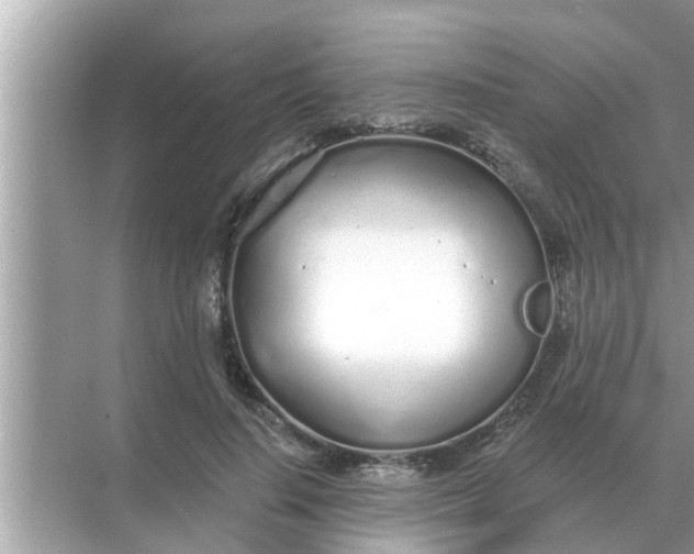 X0000070880644200606302138