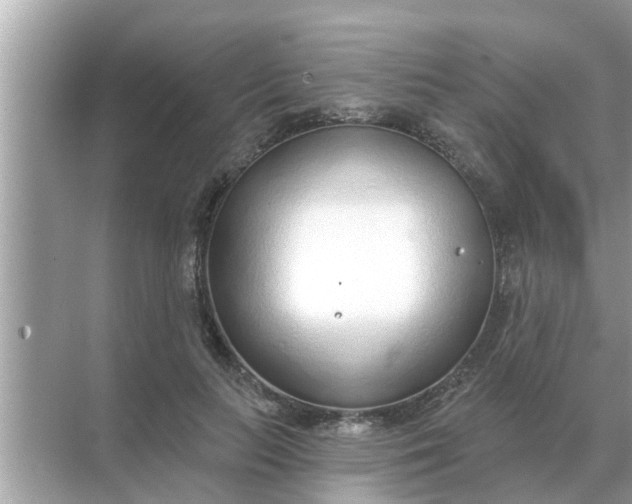 X0000070880647200606302138