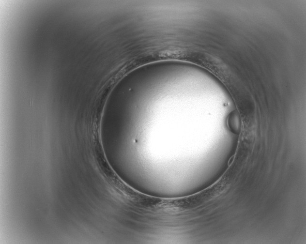 X0000070880648200606302138